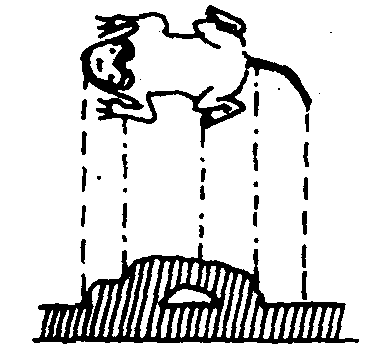 宝博微课堂丨铜镜博览会之三——镜钮集锦