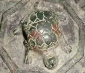 宝博微课堂丨铜镜博览会之三——镜钮集锦