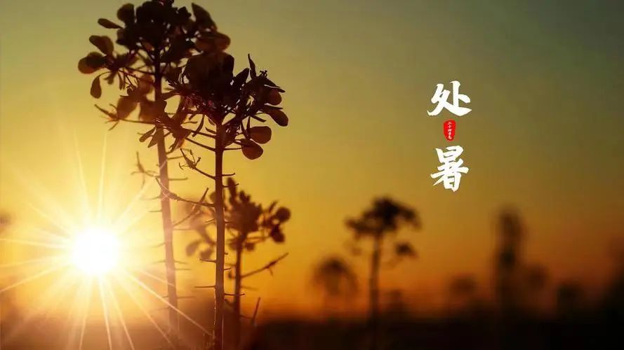 宝博微课堂|金文话节气——处暑